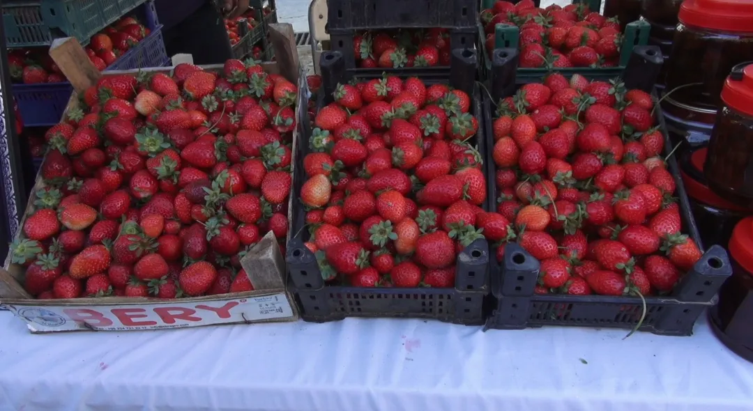 Sason festivalinde 1 kilo bal 400 bin liraya alıcı buldu
