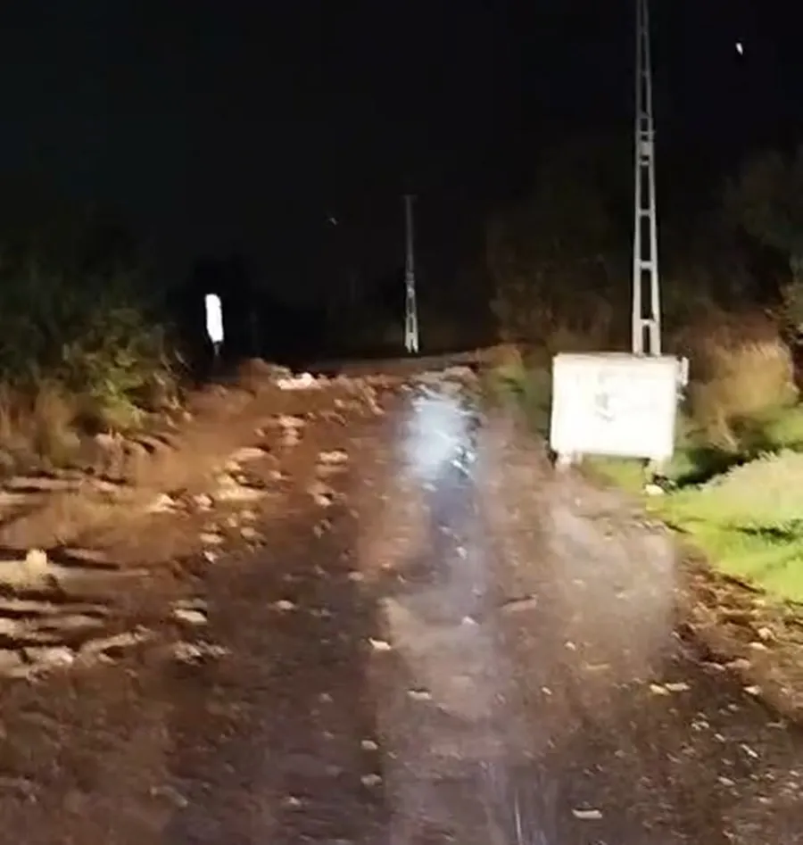 Elazığ'da sağanak yağış üzüm bağlarını sular altında bıraktı