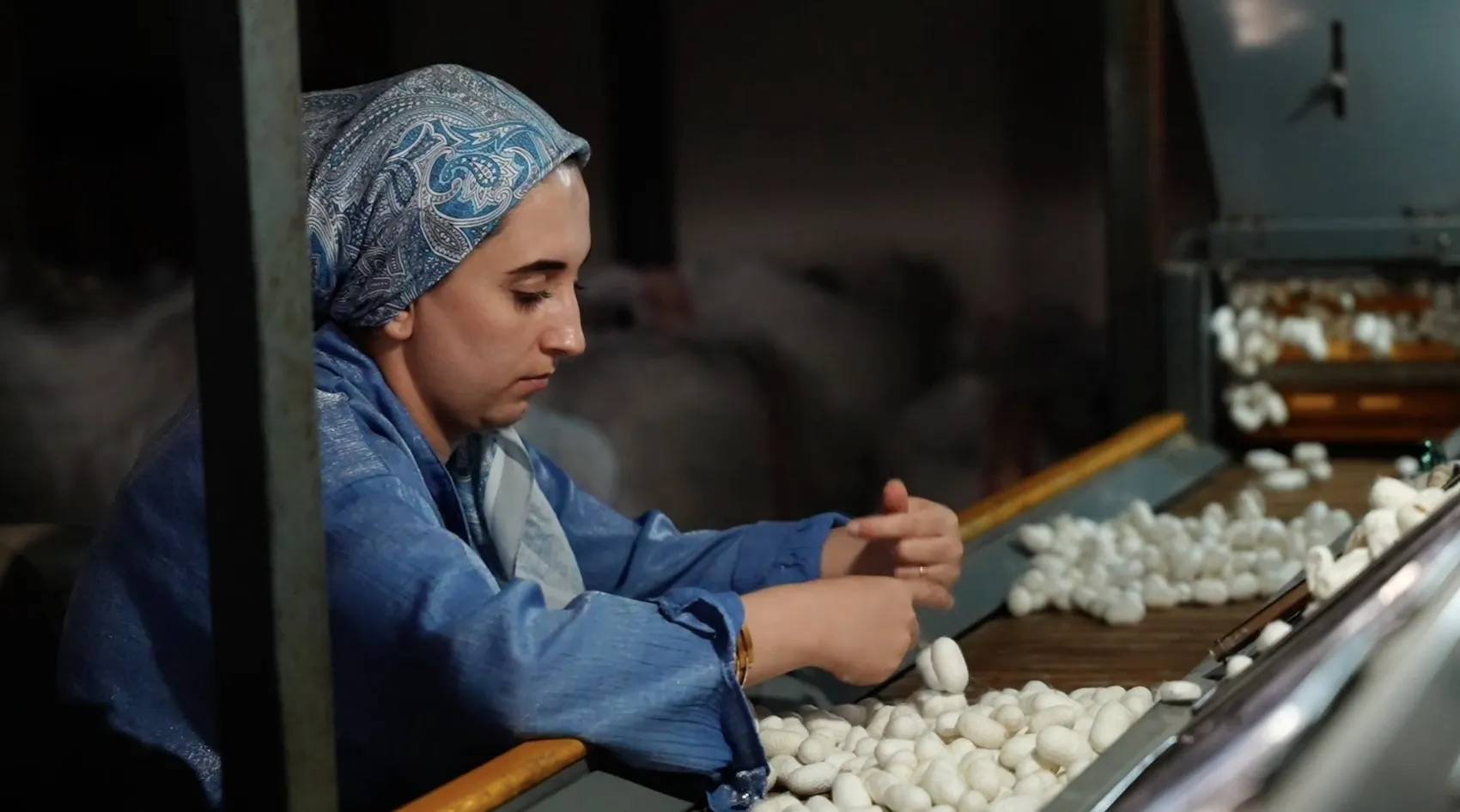 Diyarbakır Kulp ilçesinde ipek böcekçiliği binlerce aileye geçim kapısı oldu