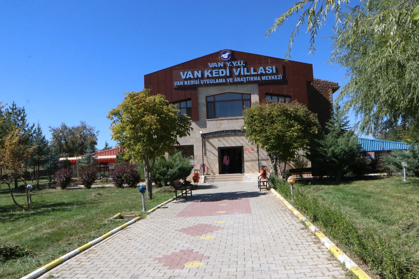 Van Kedi Villası’nda yavru mesaisi bitti, sahiplendirme başladı