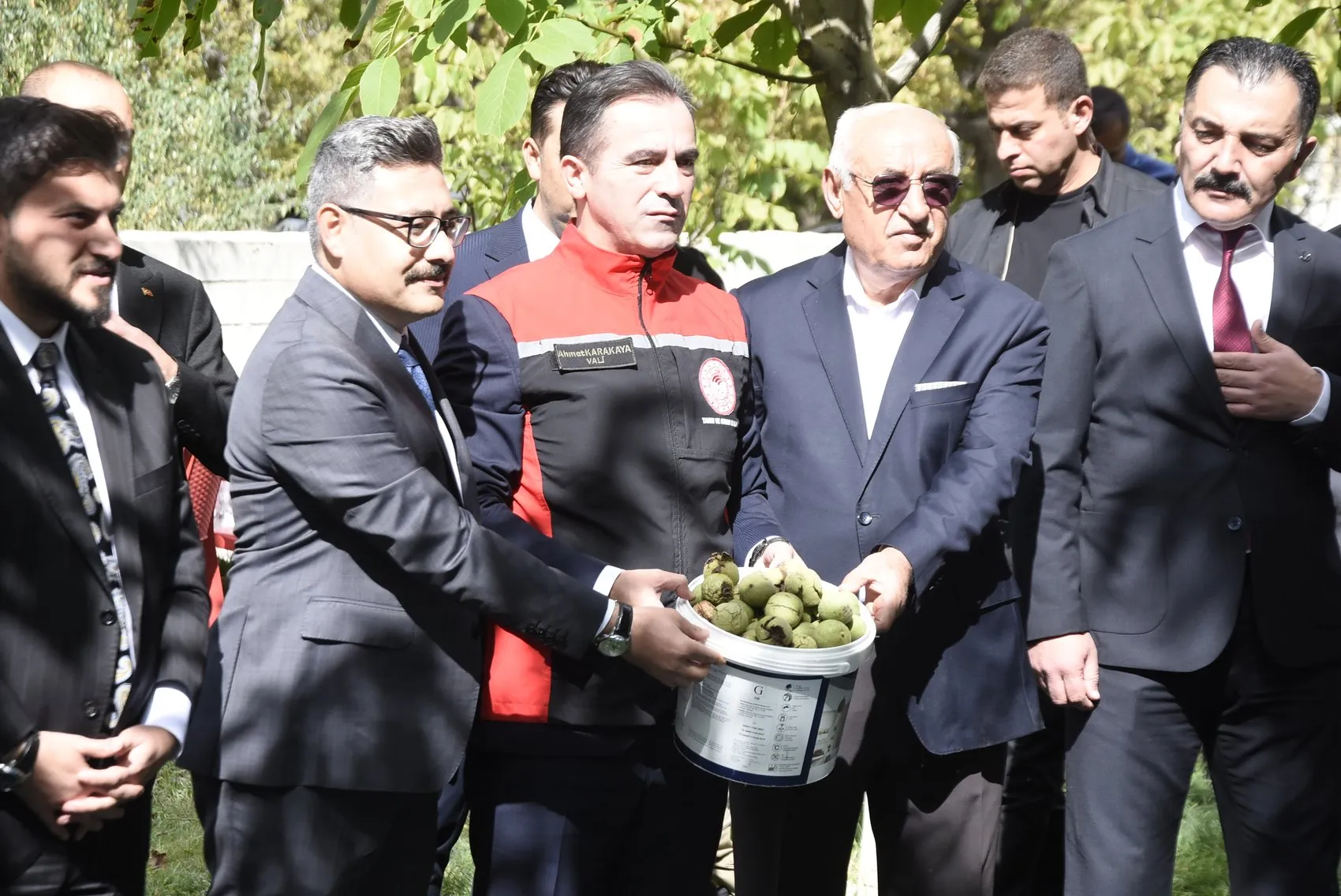 Bitlis Adilcevaz'da ceviz hasadı başladı