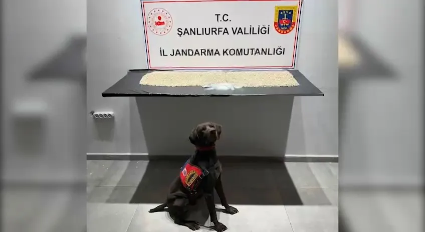 Şanlıurfa'da uyuşturucu operasyonu: Tuvalet giderinden binlerce hap çıktı