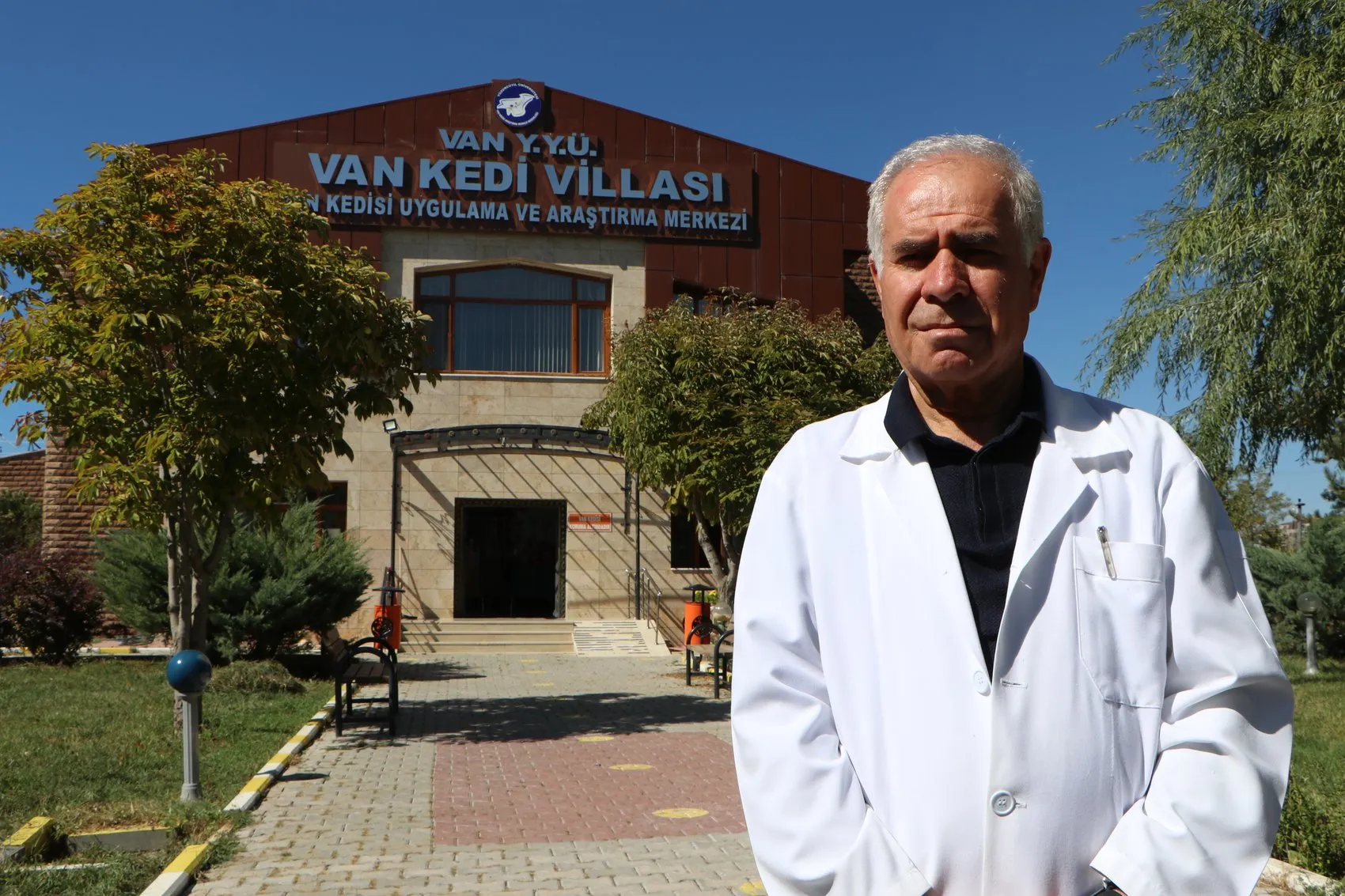 Van Kedi Villası’nda yavru mesaisi bitti, sahiplendirme başladı