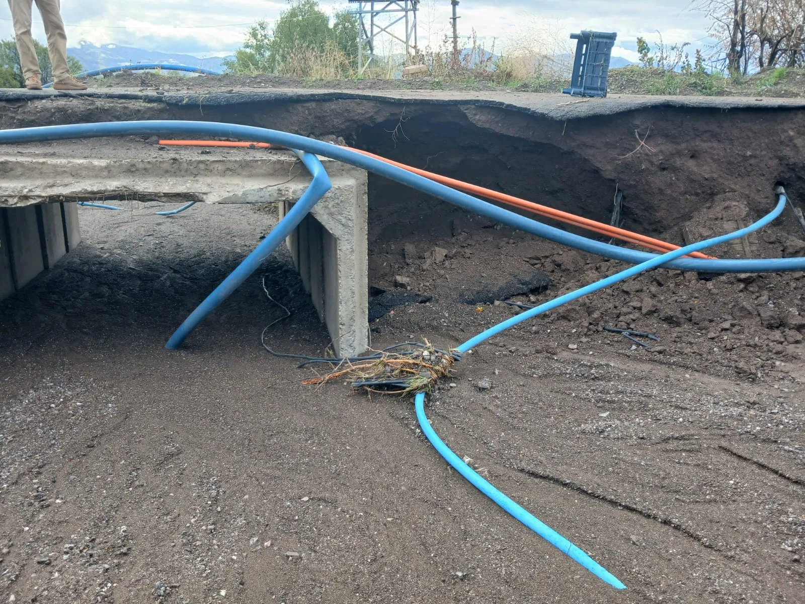 Elazığ'da sağanak yağış üzüm bağlarını sular altında bıraktı