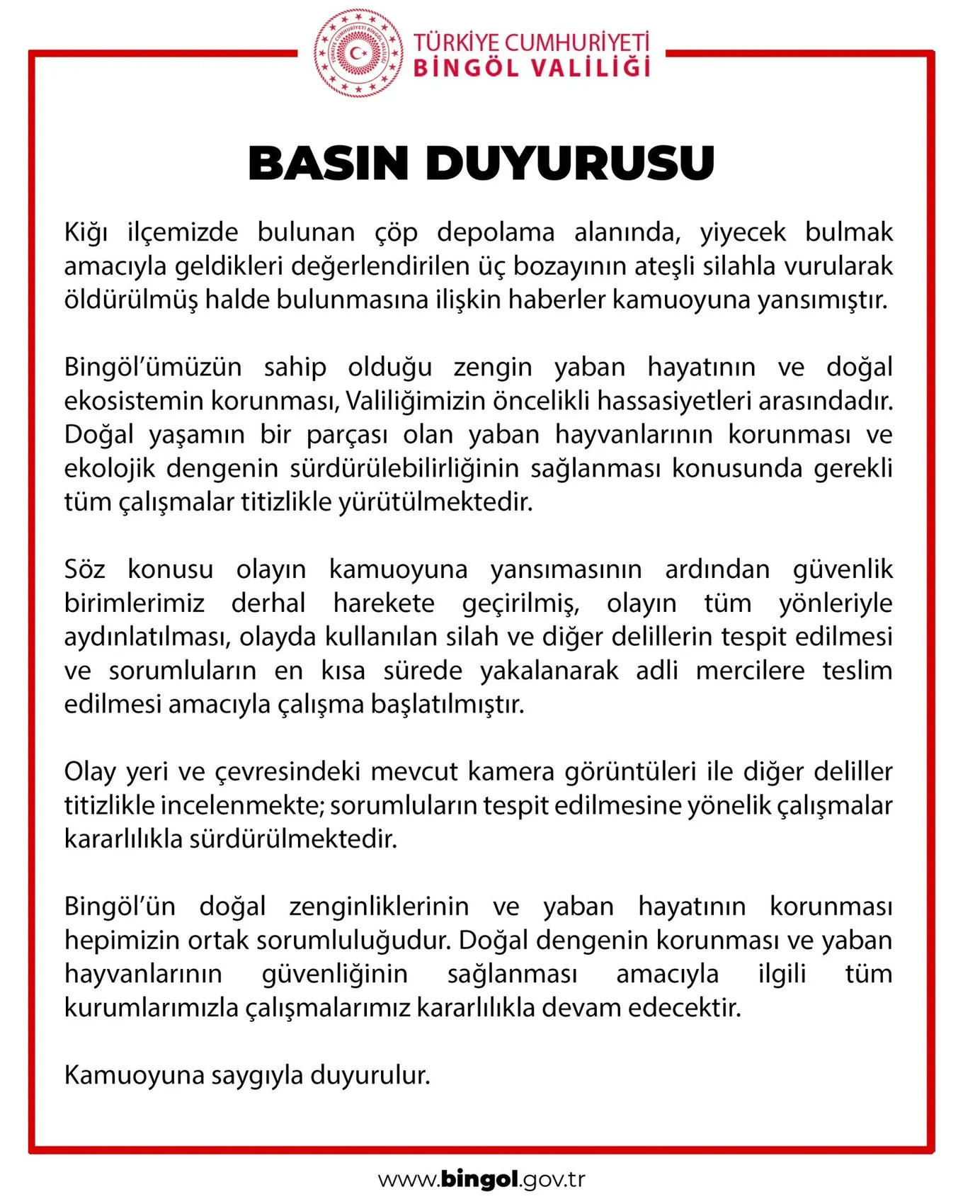 Bingöl'de üç bozayının vurularak öldürülmesi üzerine geniş çaplı soruşturma başlatıldı