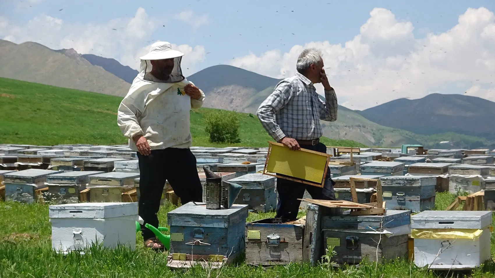 Bodrumdan Yüksekovaya Uzanan Bal Yolculuğu
