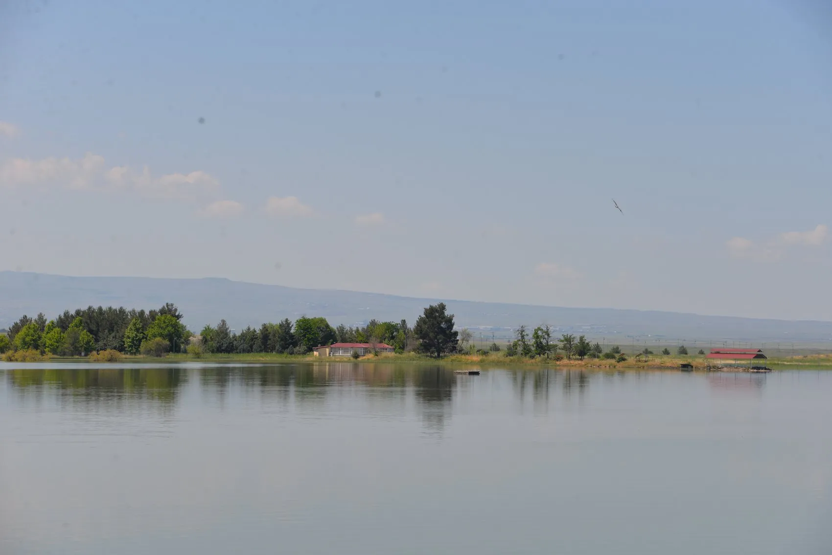Diyarbakır Devegeçidi Barajı yeniden hayat buldu