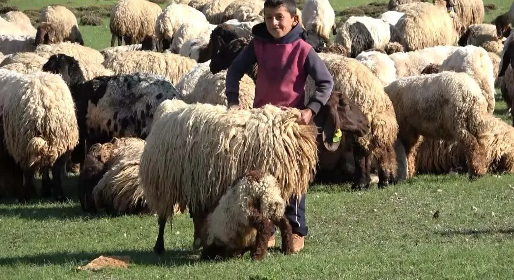 Göçerlerin serin yayla yolculuğu başladı