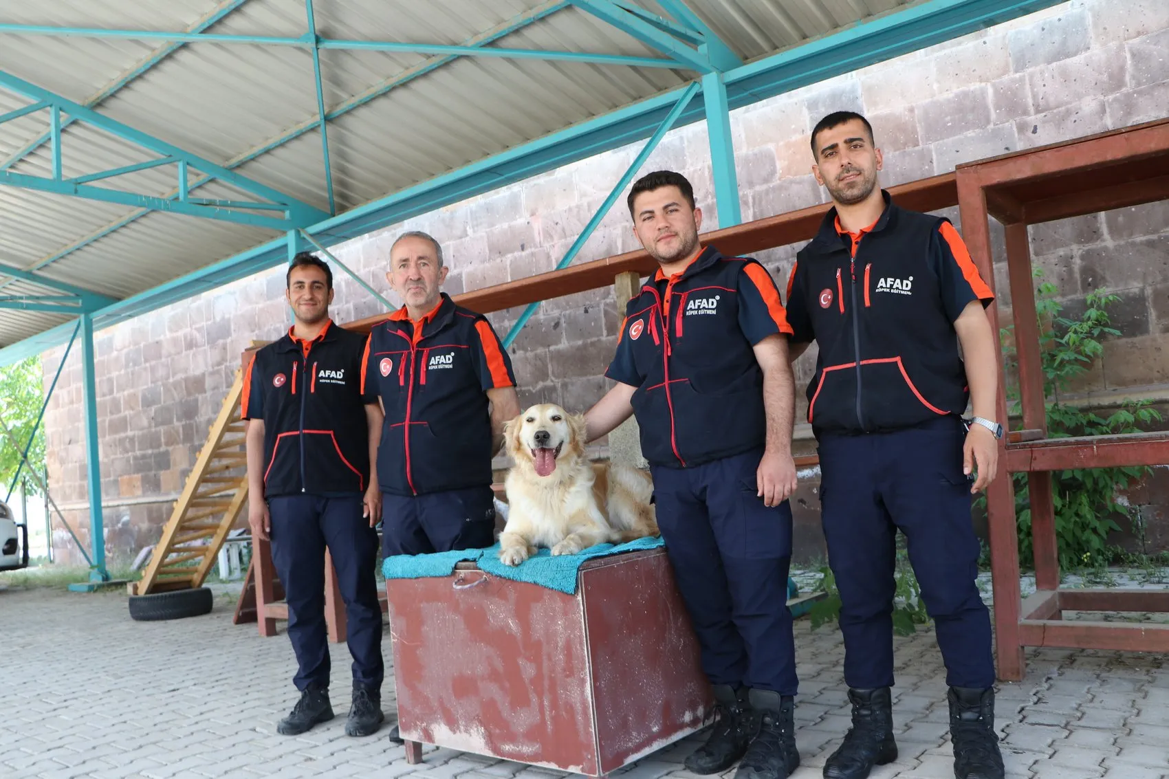 Emekli olması beklenen kurtarma köpeği Köpük sınavda derece yaptı