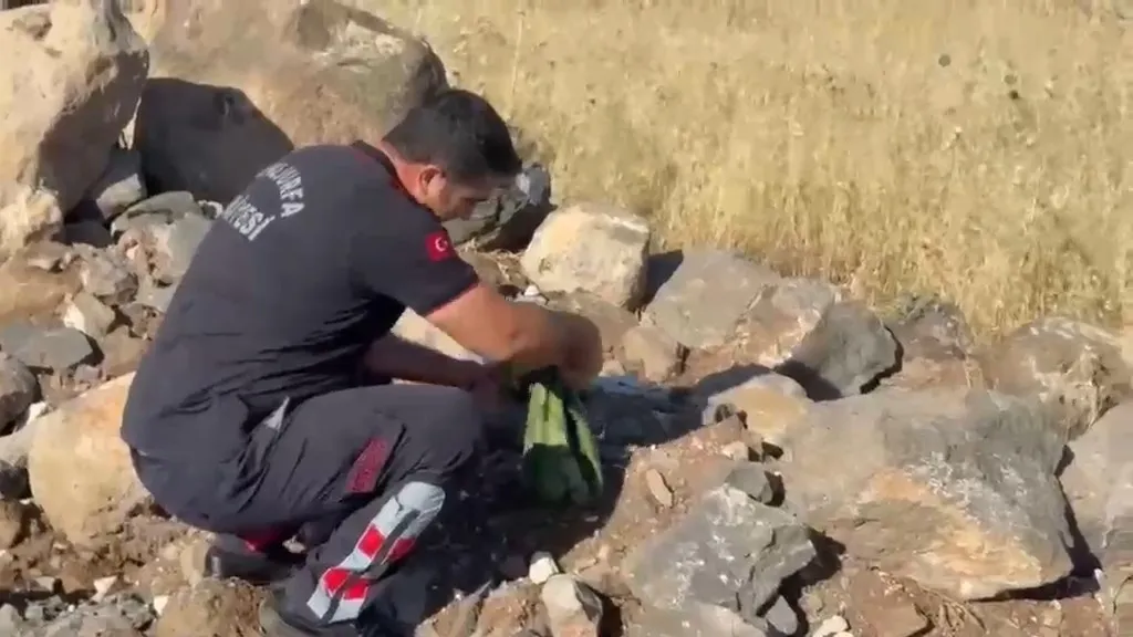 Urfa'da piknik alanında korkutan yılan paniği