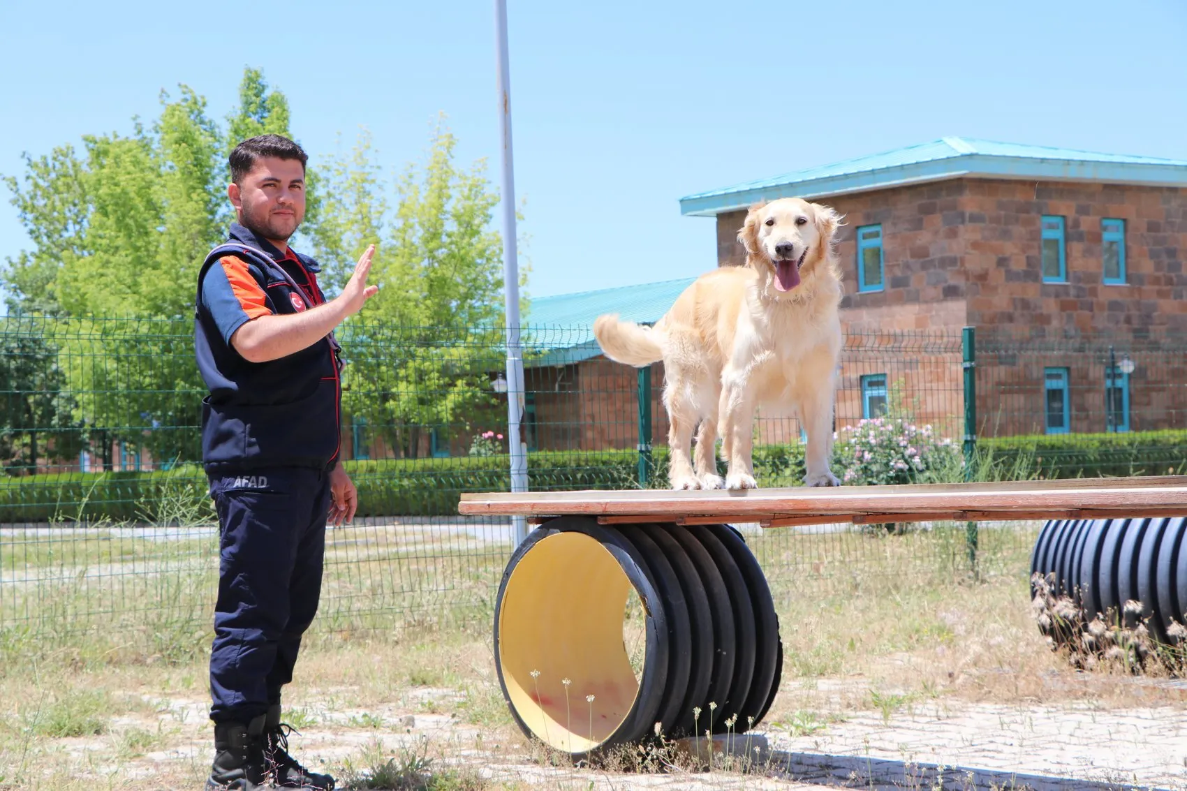 Emekli olması beklenen kurtarma köpeği Köpük sınavda derece yaptı