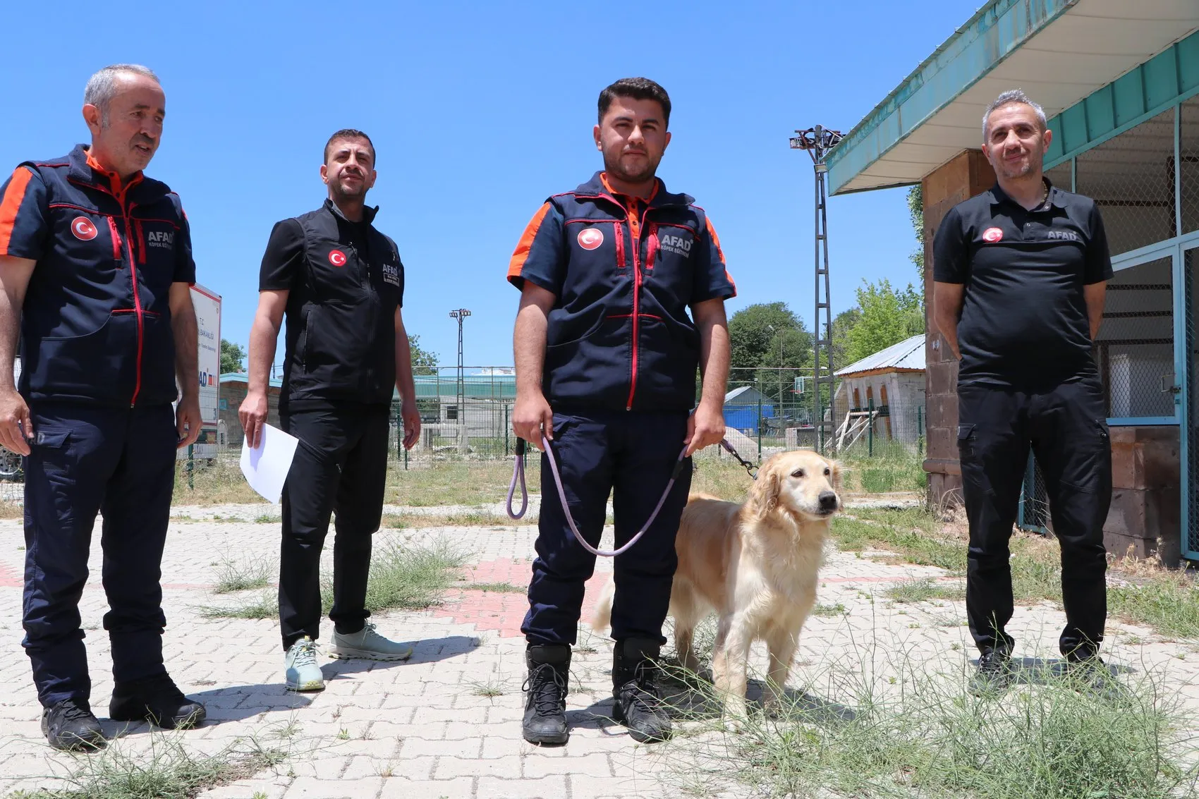 Emekli olması beklenen kurtarma köpeği Köpük sınavda derece yaptı