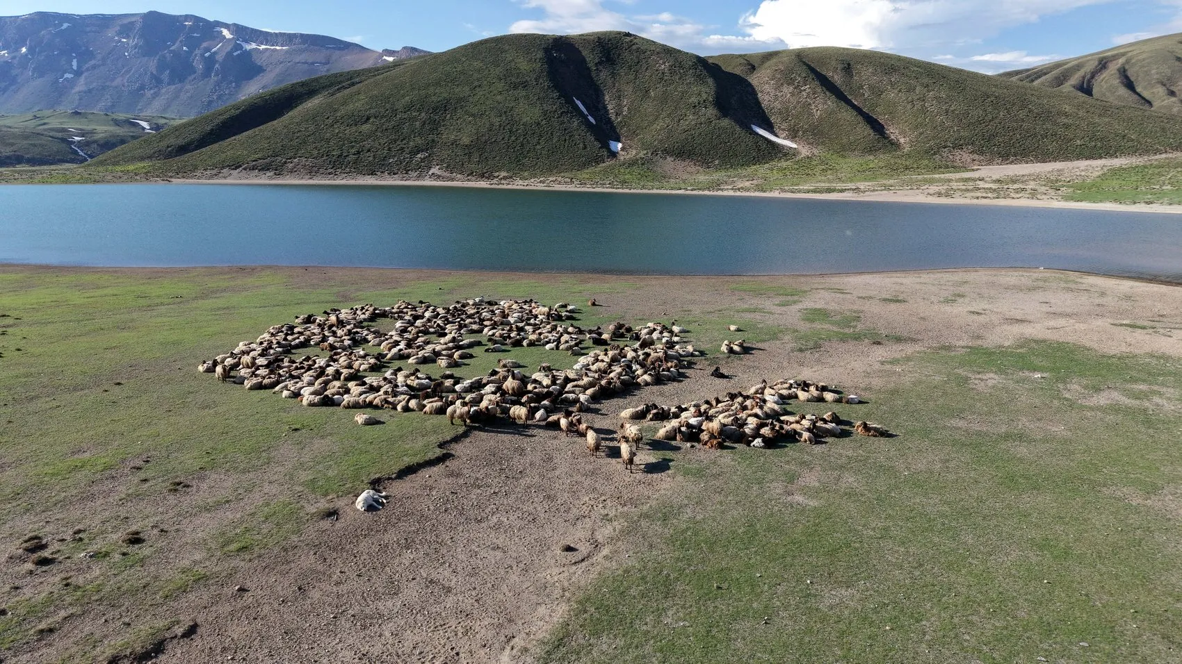 Göçerlerin serin yayla yolculuğu başladı
