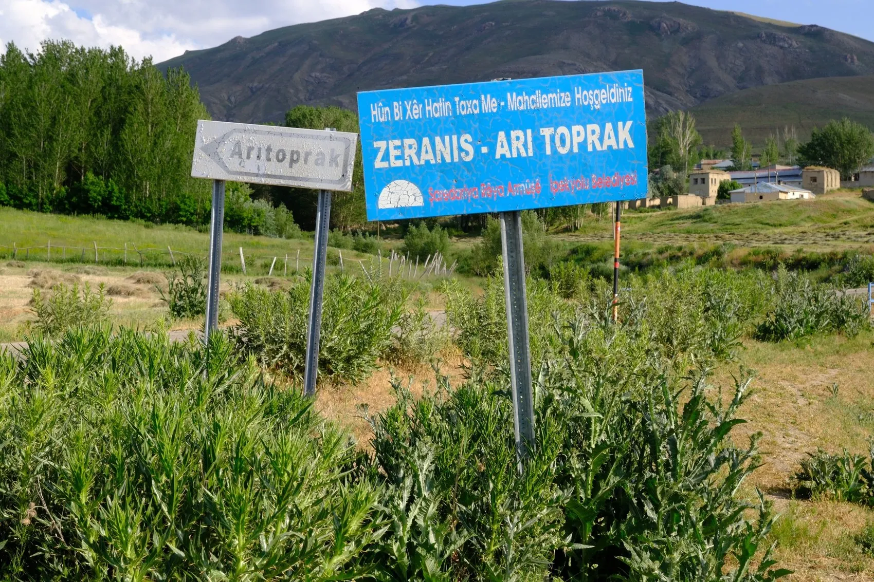 Van'da kuduz paniği Arıtoprak Mahallesi giriş çıkışlara kapatıldı