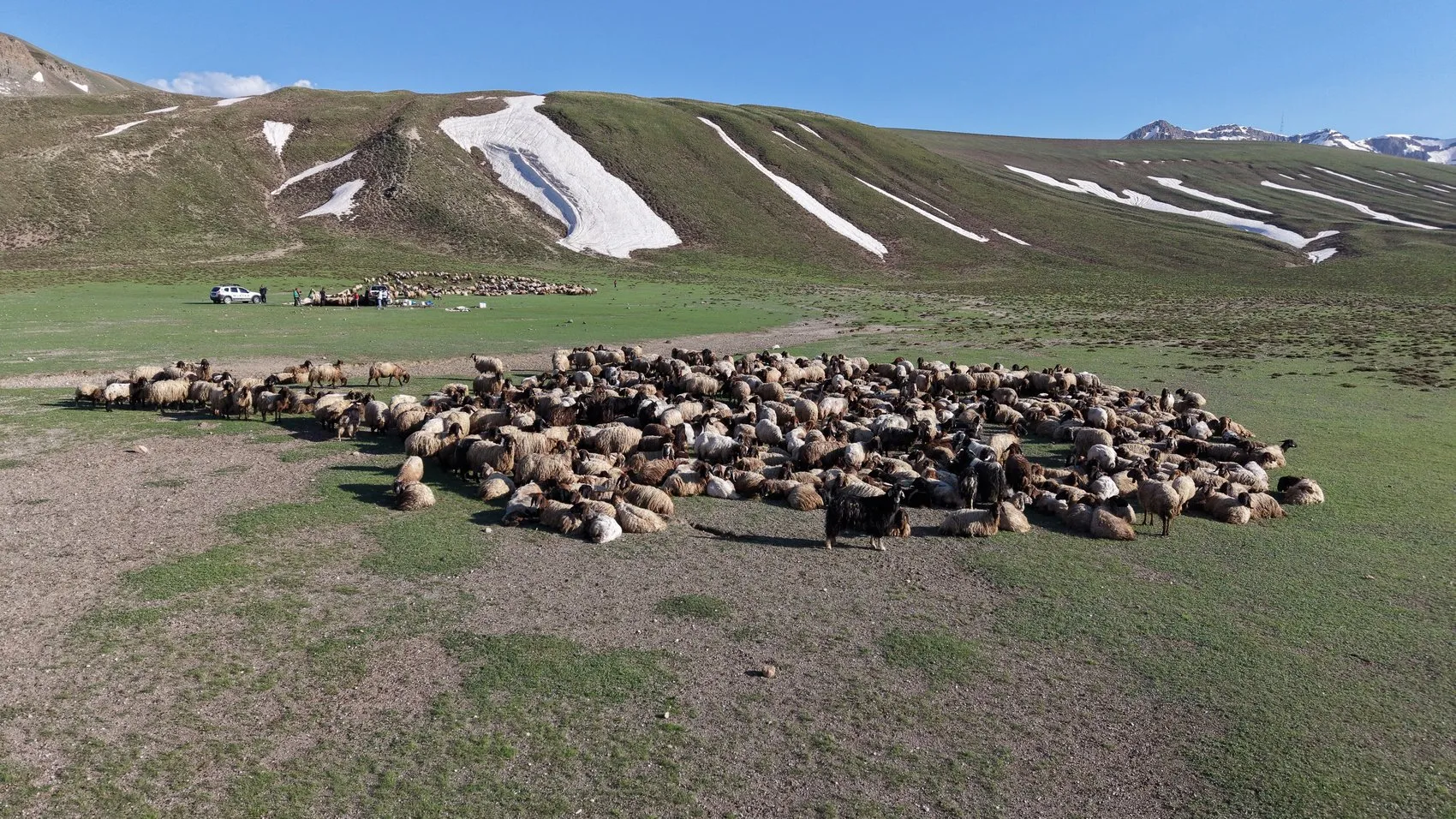 Göçerlerin serin yayla yolculuğu başladı
