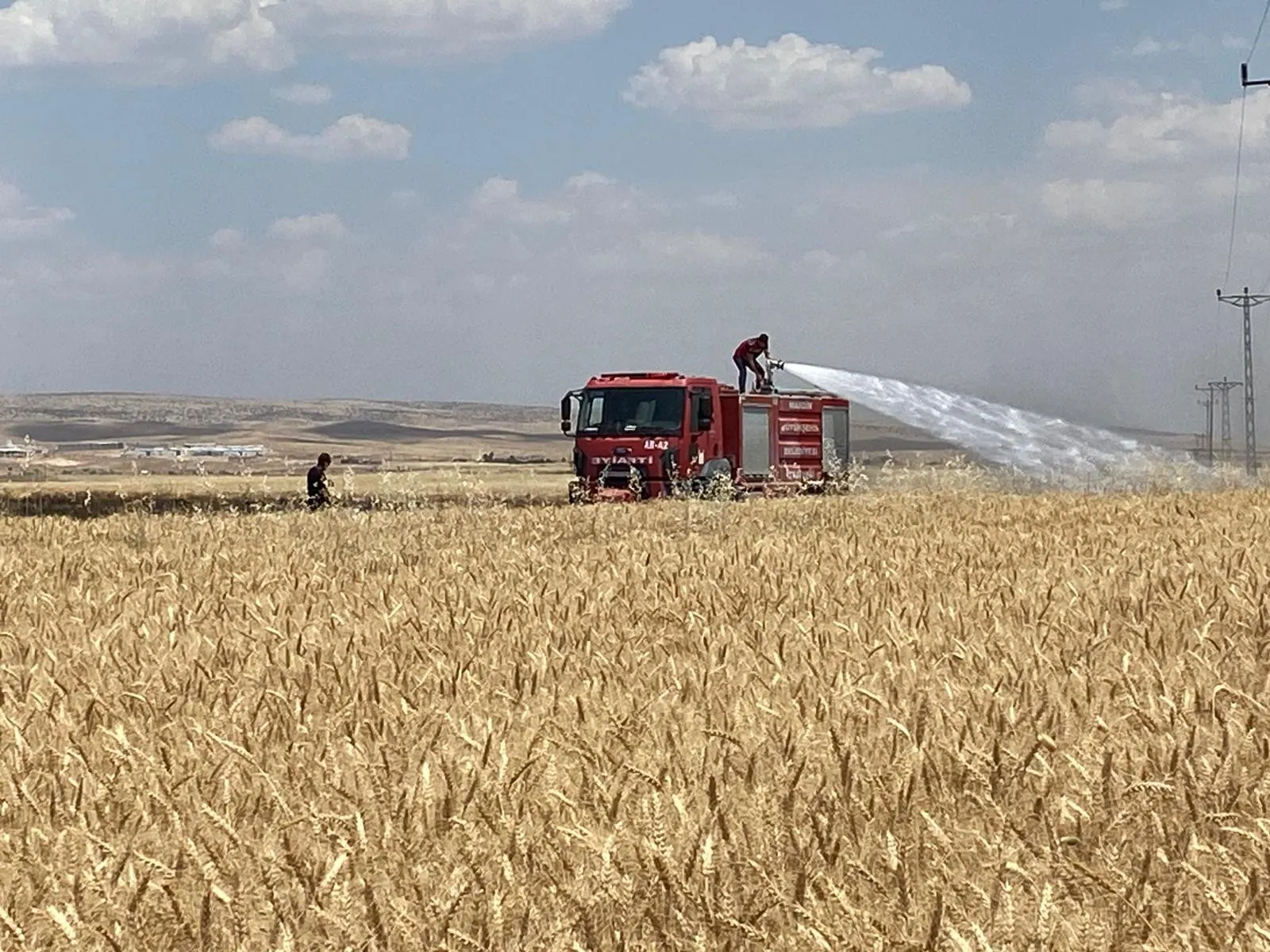 Mardin’de hasat mevsimi yangınla gölgelendi