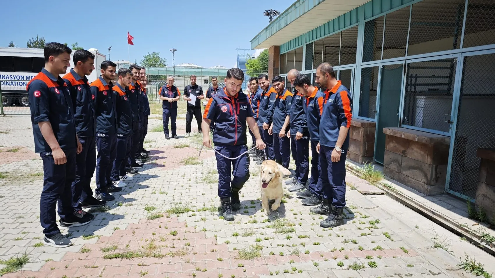 Emekli olması beklenen kurtarma köpeği Köpük sınavda derece yaptı