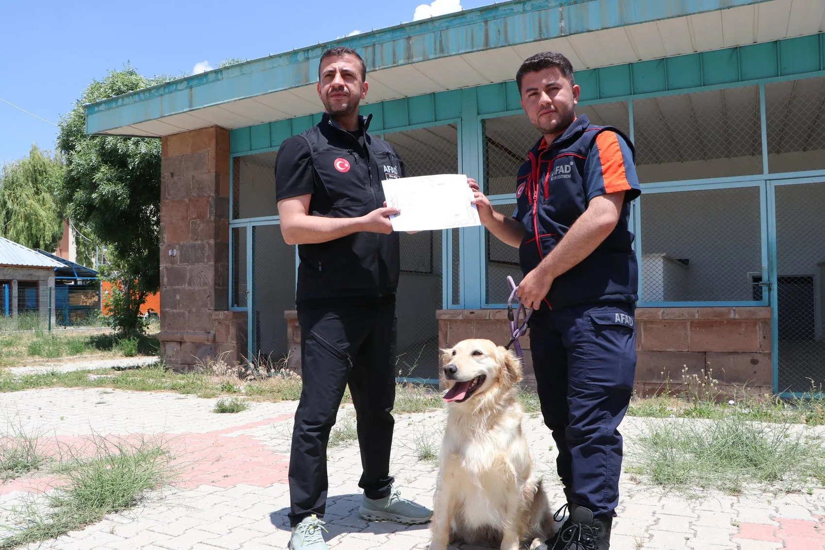 Emekli olması beklenen kurtarma köpeği Köpük sınavda derece yaptı
