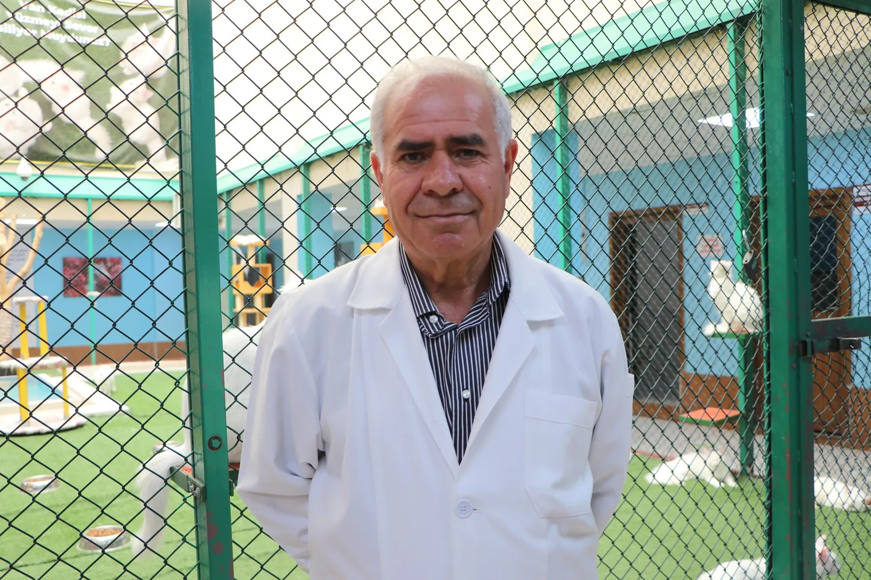 Van Kedileri 100 Yeni Yavruyla Sezonu Açtı