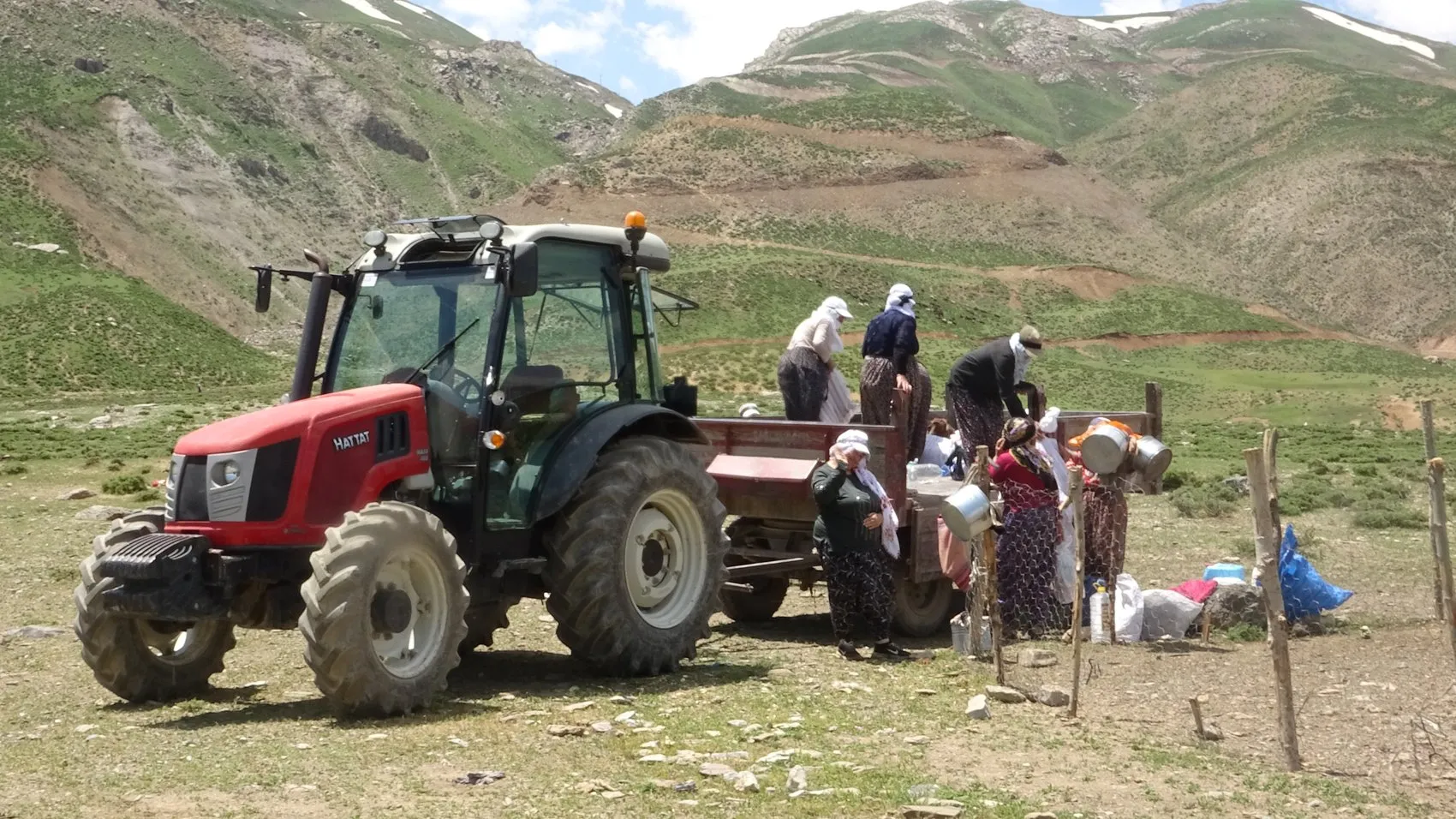 Yüksekova'nın kadınları yaylalarda süt mesaisine başladı