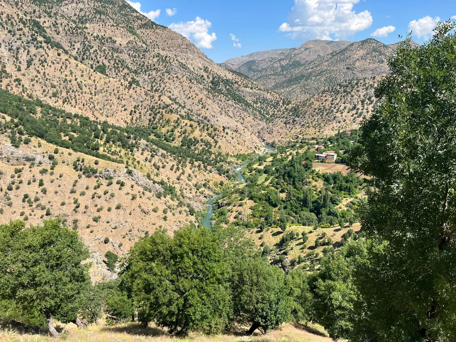 Bingöl’de piknik yaparken çaya düşen genç kayboldu