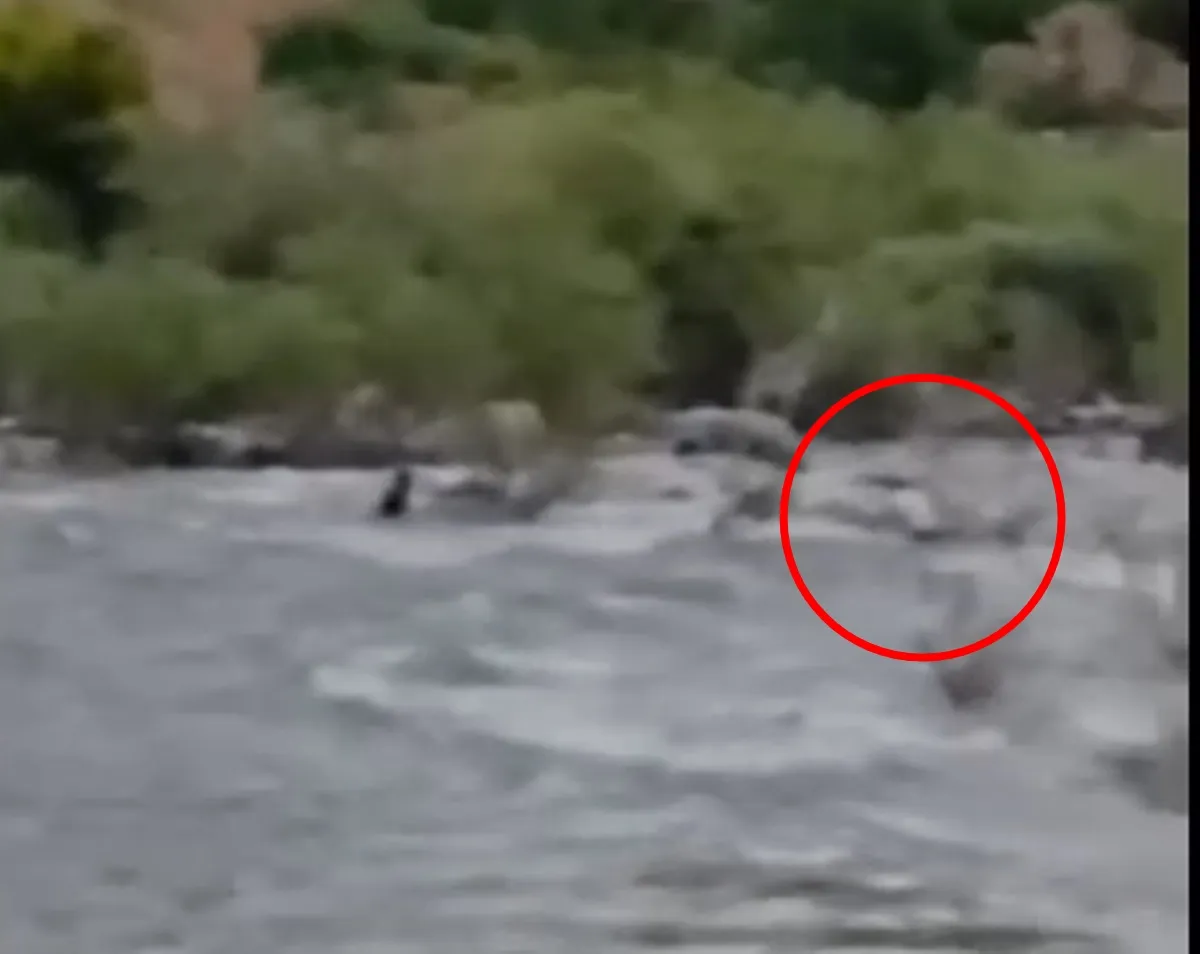 Bingöl’de serinlemek için girdiği çayda kaybolan adam aranıyor