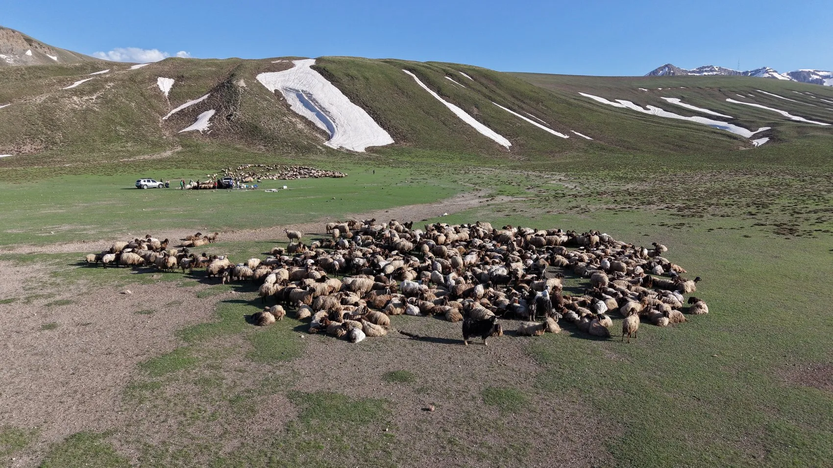 Göçerlerin serin yayla yolculuğu başladı