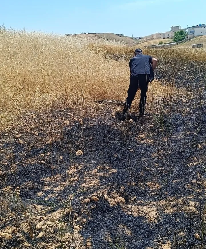 Cizre’de buğday hasadı öncesi korkutan yangın