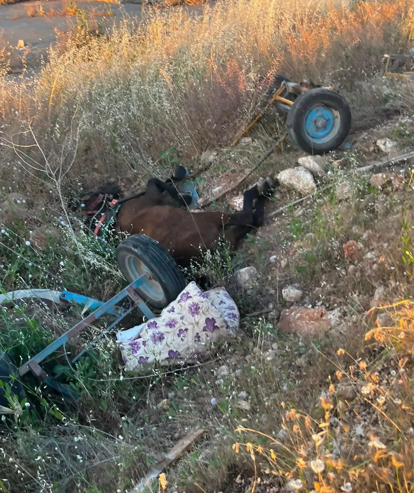 Şanlıurfa Halfeti'de can pazarı Minibüs at arabasına çarptı