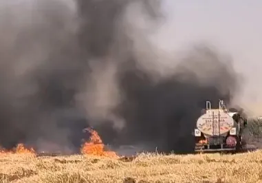 Şanlıurfa'da anız yakan 14 kişi yakayı ele verdi