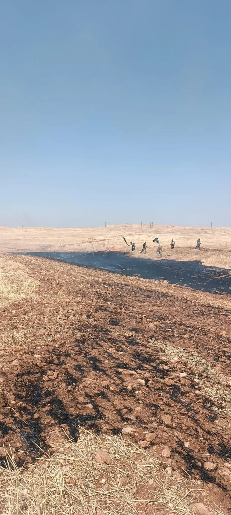 Mardin Kızıltepe'de anız yangını evlere kadar ulaştı