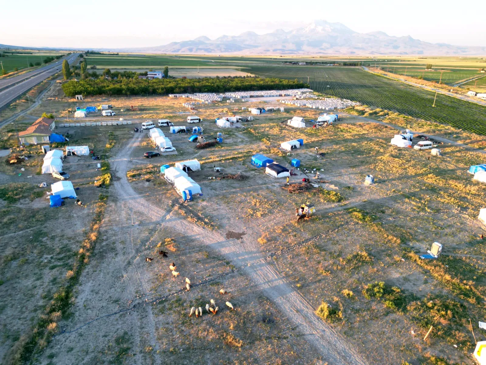 Şanlıurfa'dan yola çıkan mevsimlik işçilerin zorlu ekmek mücadelesi