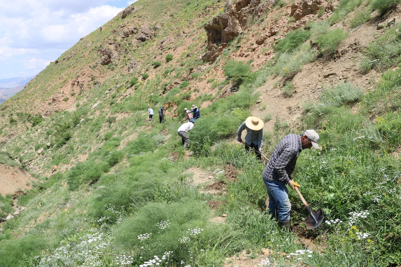 Hakkari’de köylülerin 10 kilometrelik su mücadelesi