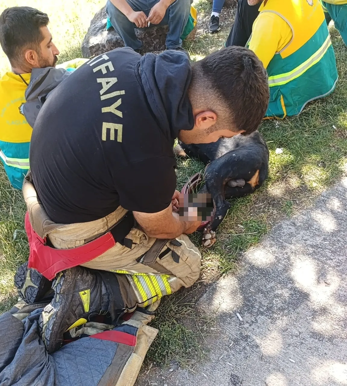 Diyarbakırda ayağına demir saplanan köpek itfaiye yardımıyla hayata tutundu