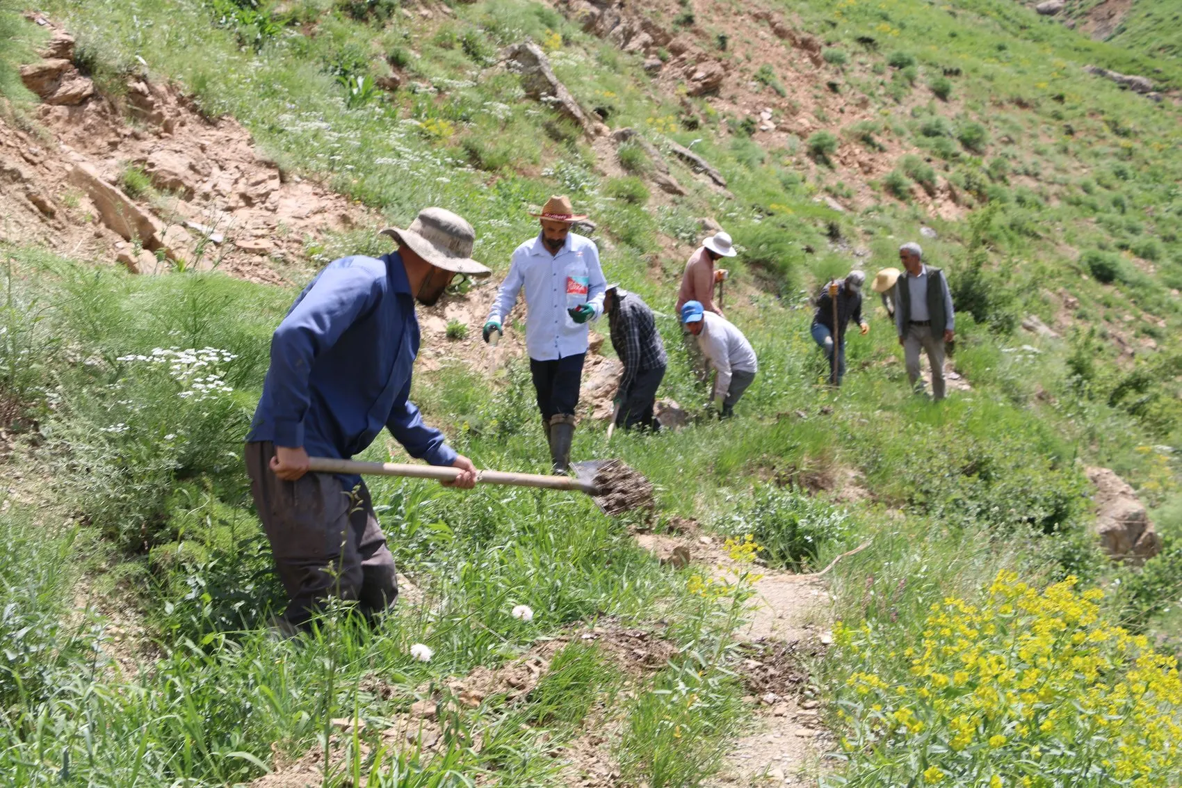 Hakkari’de köylülerin 10 kilometrelik su mücadelesi