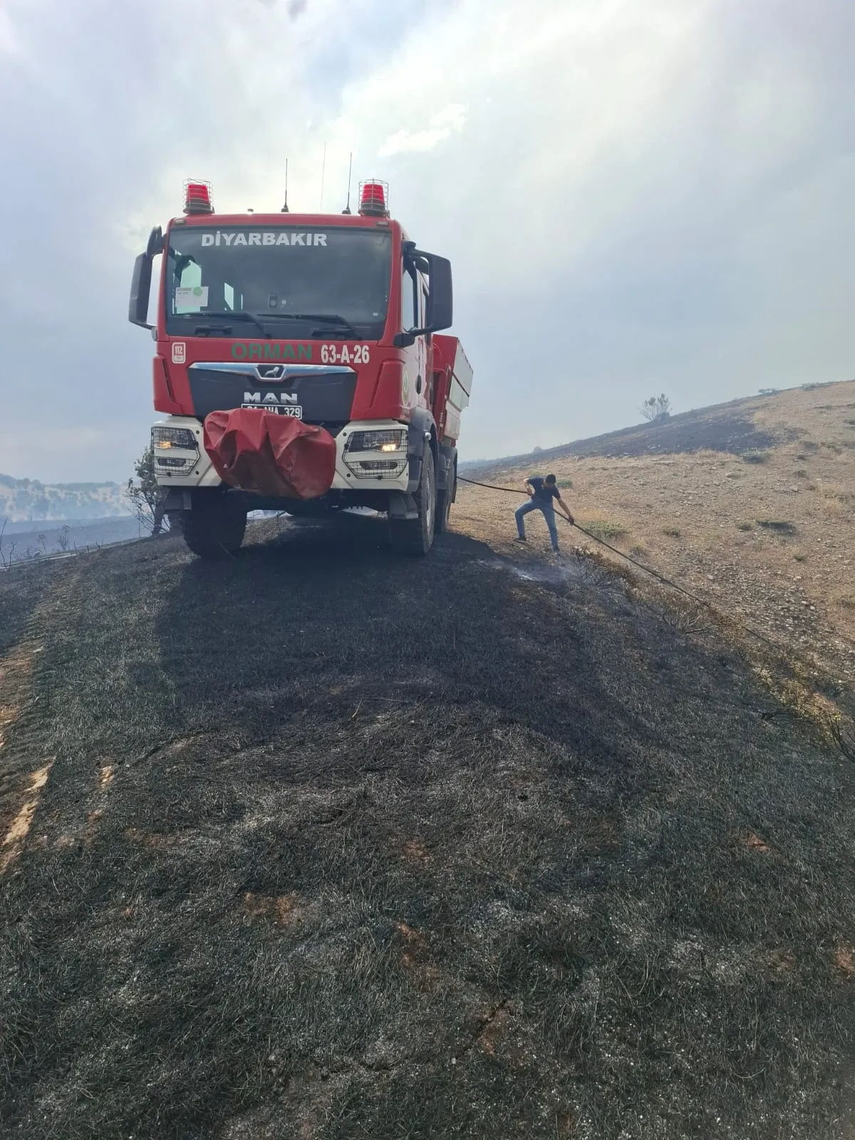 Diyarbakır'ın beş ilçesinde aynı anda yangın alarmı