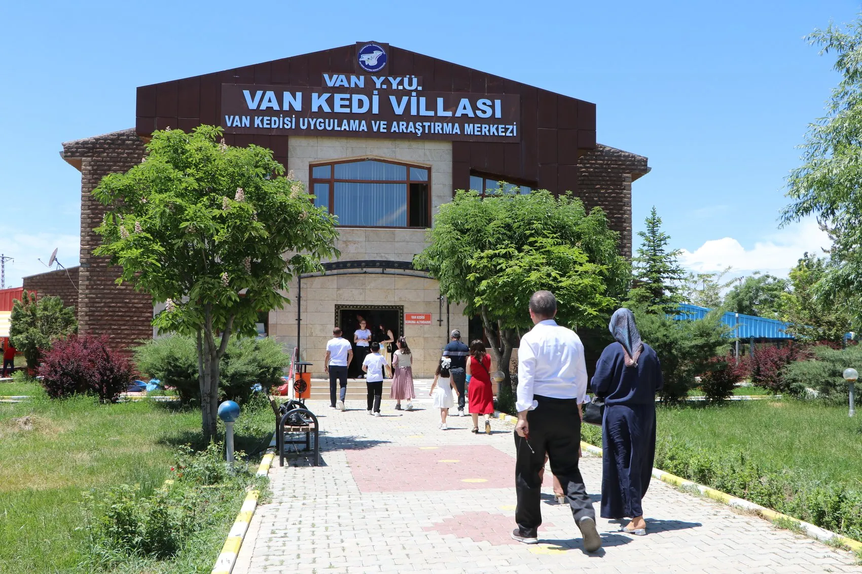 Van Kedileri 100 Yeni Yavruyla Sezonu Açtı