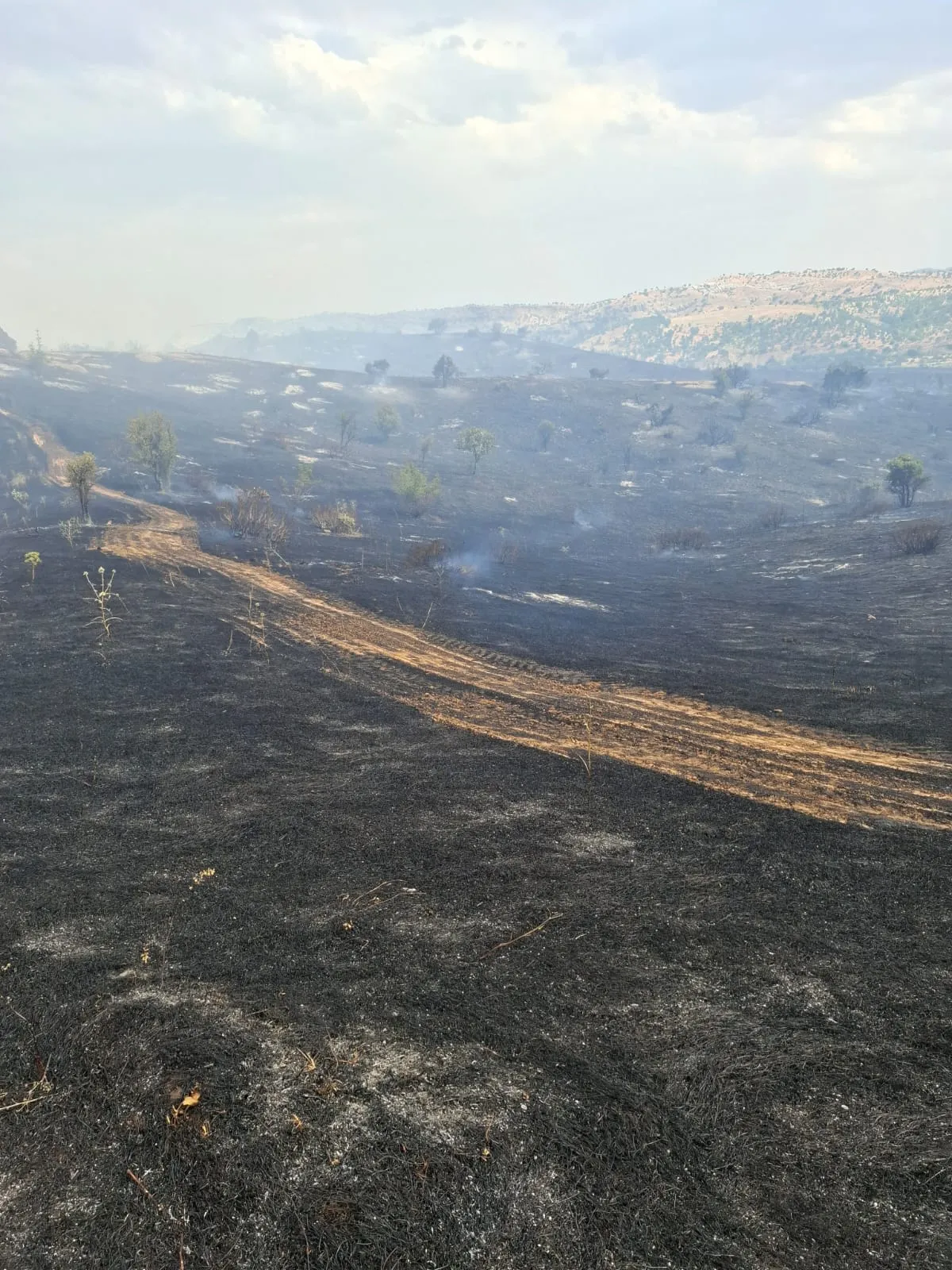 Diyarbakır'ın beş ilçesinde aynı anda yangın alarmı