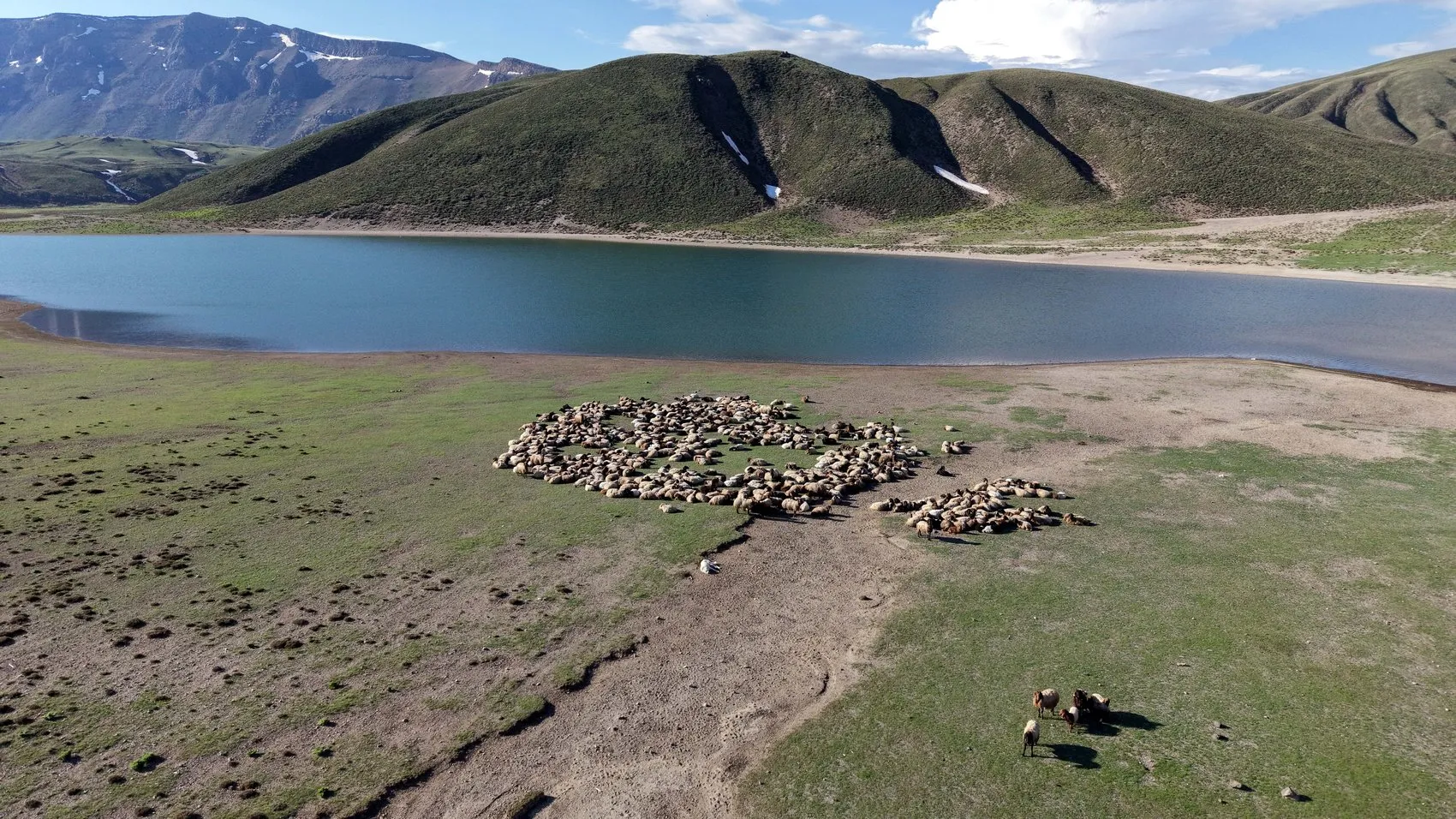 Göçerlerin serin yayla yolculuğu başladı