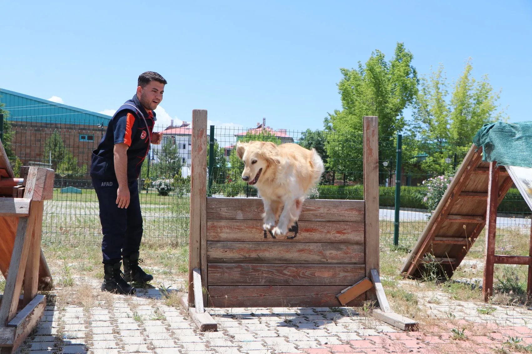 Emekli olması beklenen kurtarma köpeği Köpük sınavda derece yaptı
