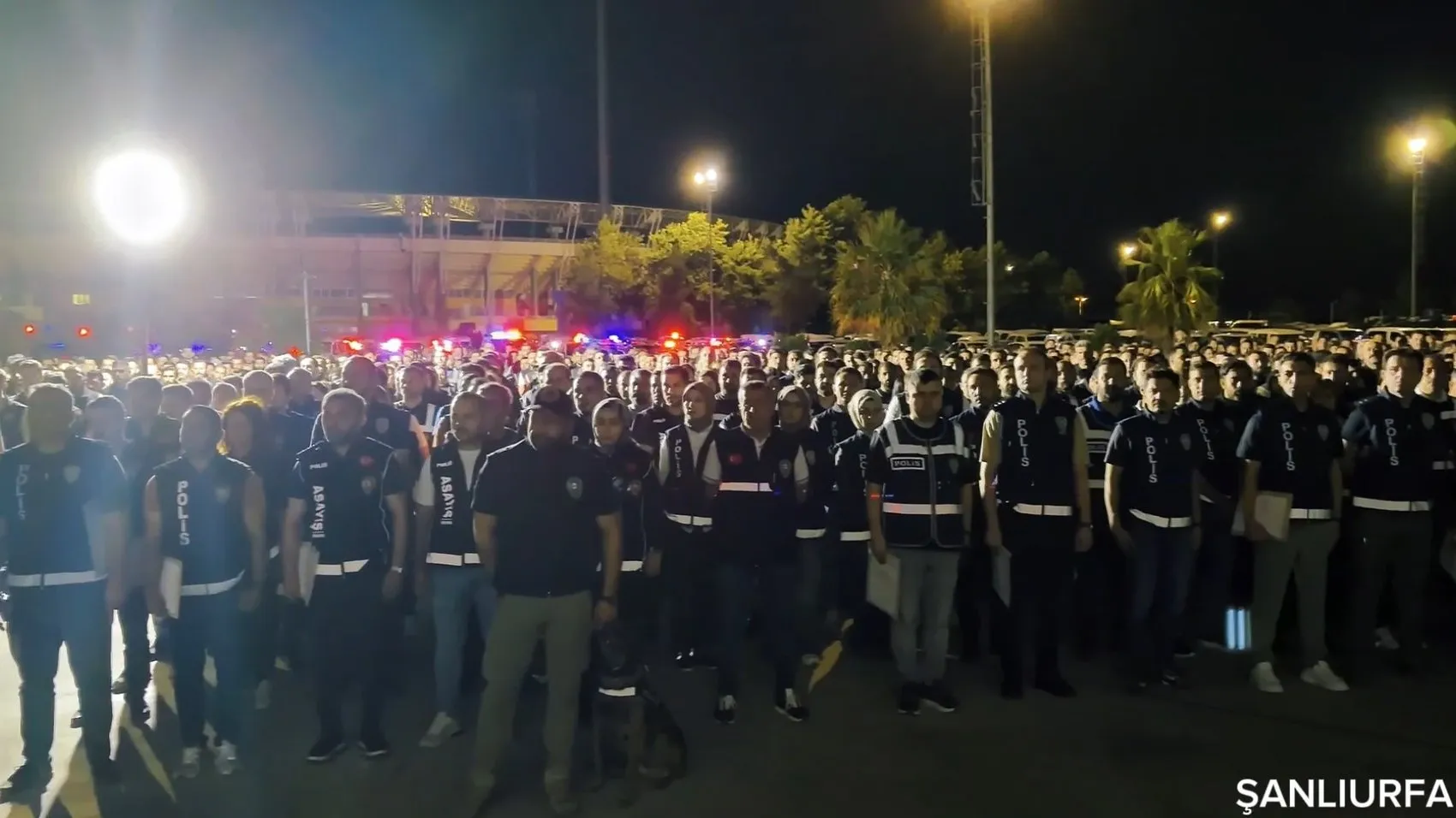 Şanlıurfa merkezli dev uyuşturucu operasyonu