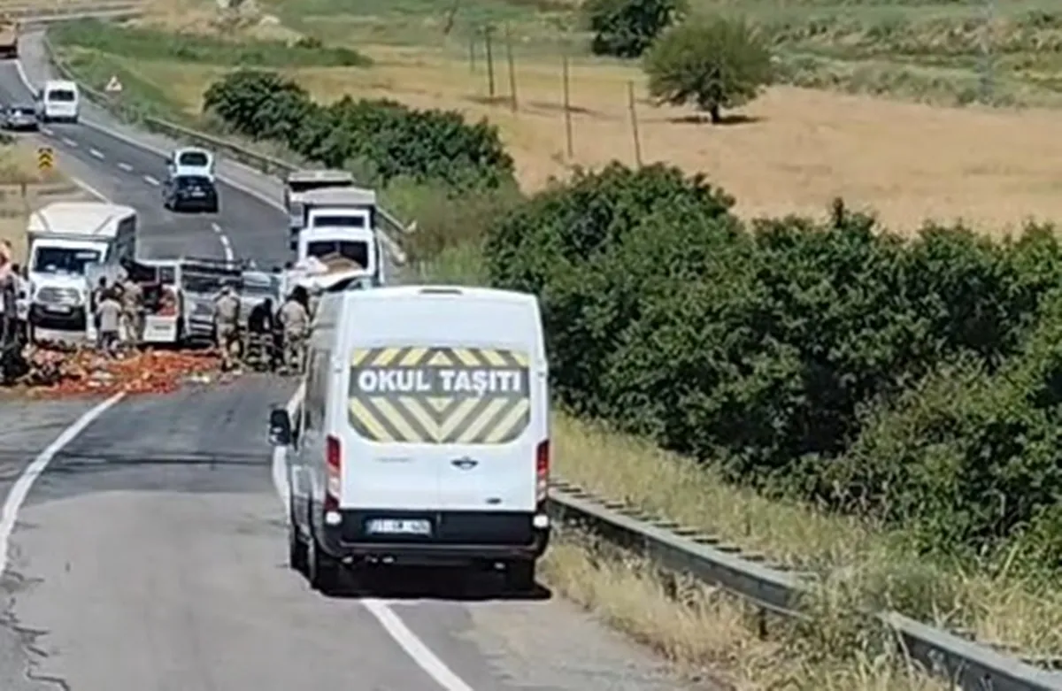 Silvan yolunda sebze meyve taşıyan kamyonet kaza yaptı