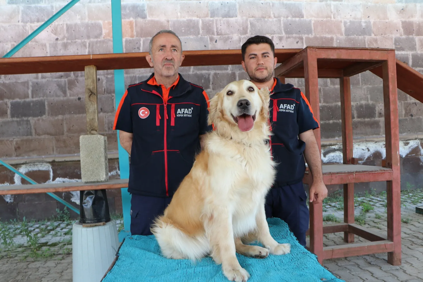 Emekli olması beklenen kurtarma köpeği Köpük sınavda derece yaptı