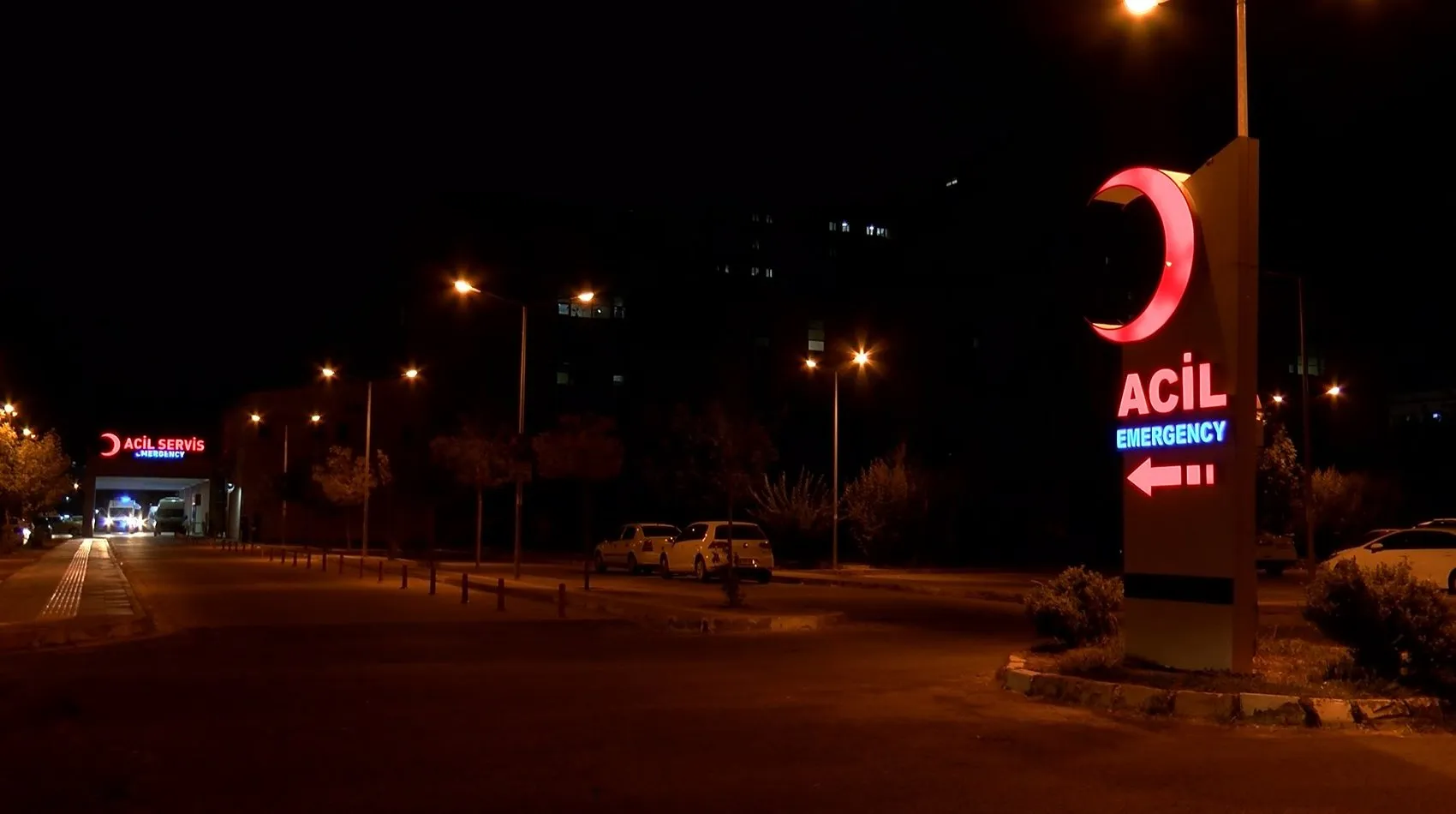 Diyarbakır'da gelinini öldüren kayınpederin kan donduran cinayet planı