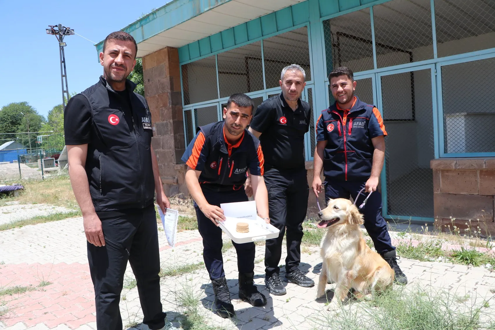 Emekli olması beklenen kurtarma köpeği Köpük sınavda derece yaptı