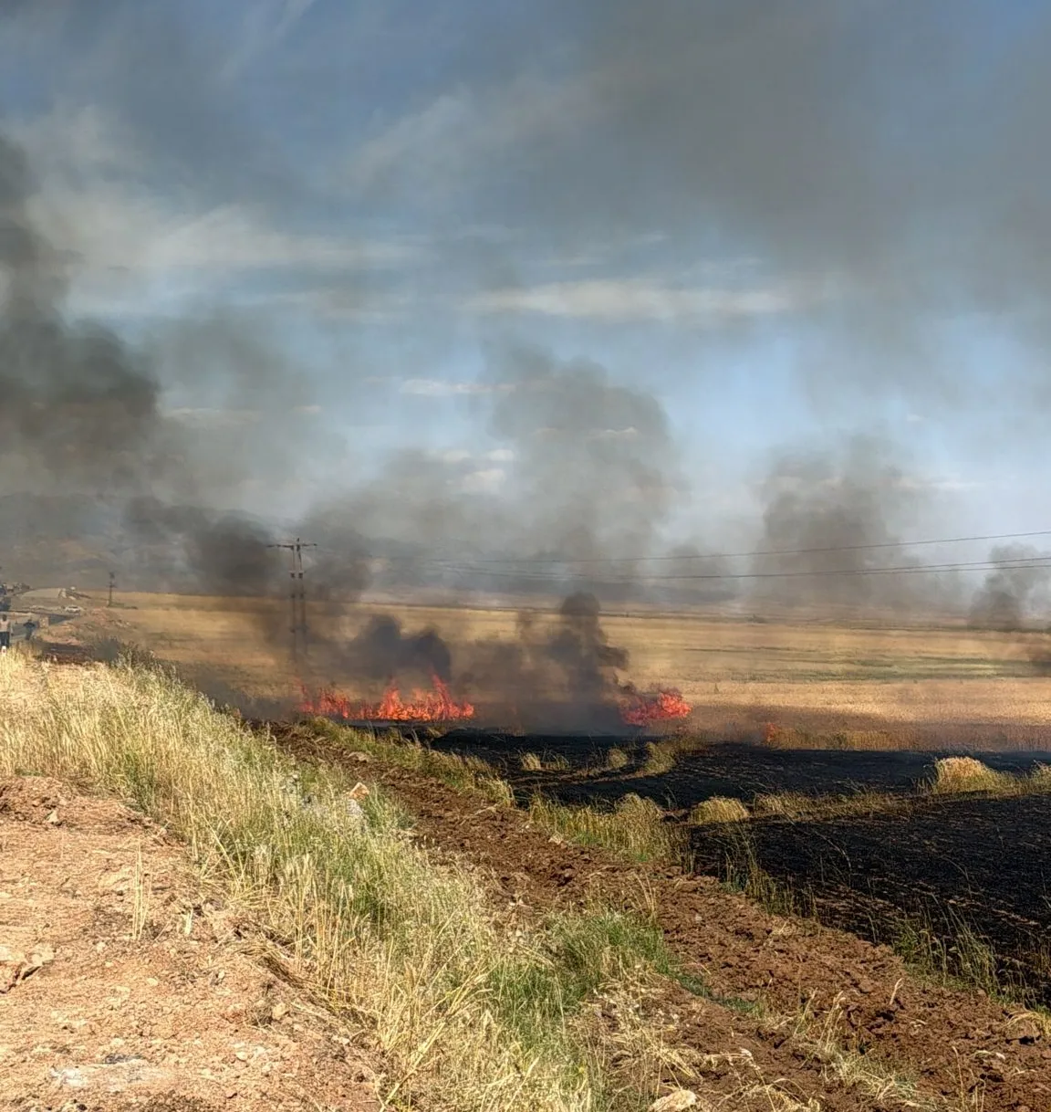 Cizre’de buğday hasadı öncesi korkutan yangın