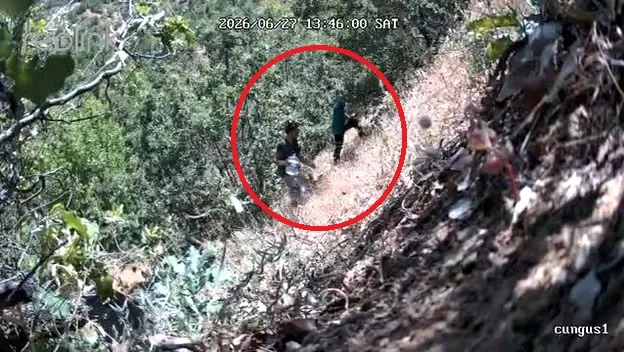 Çüngüşte ormanda kenevir sulayan CHP ilçe başkanı ile oğlu yakalandı
