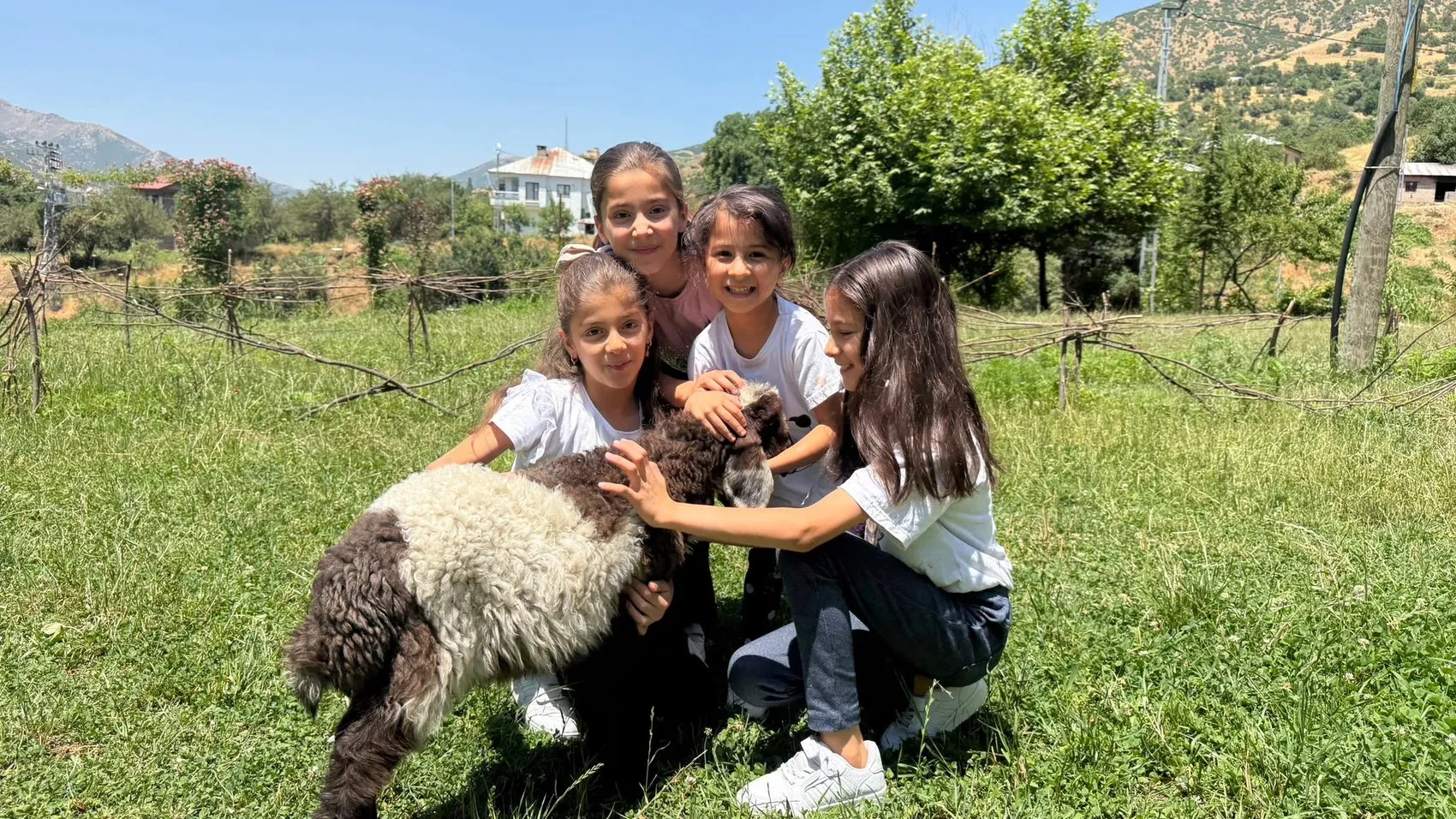 Hakkari'de öksüz kuzu Arif ailenin bir parçası oldu
