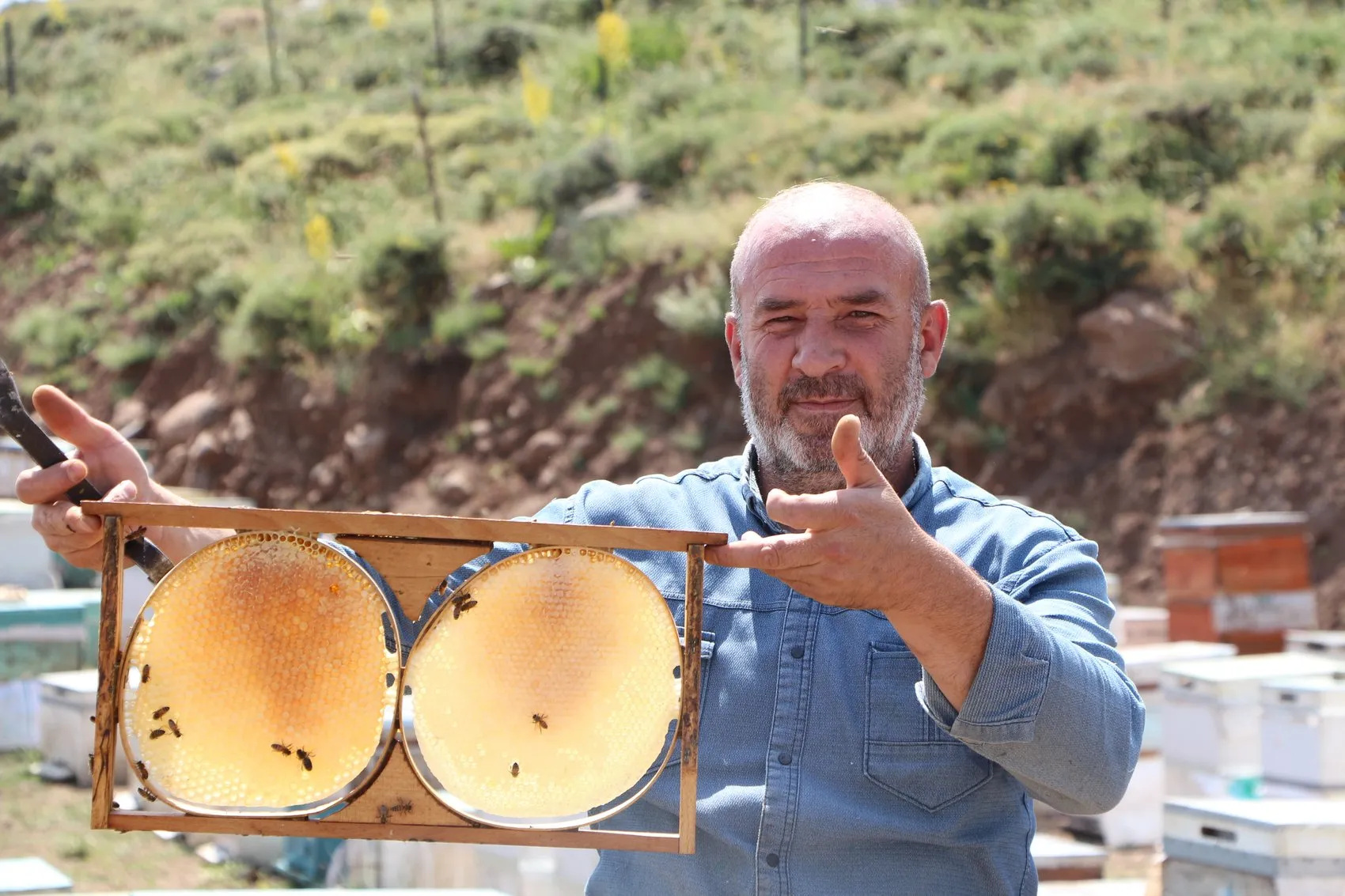 Bingölün tescilli balında hasat heyecanı başladı