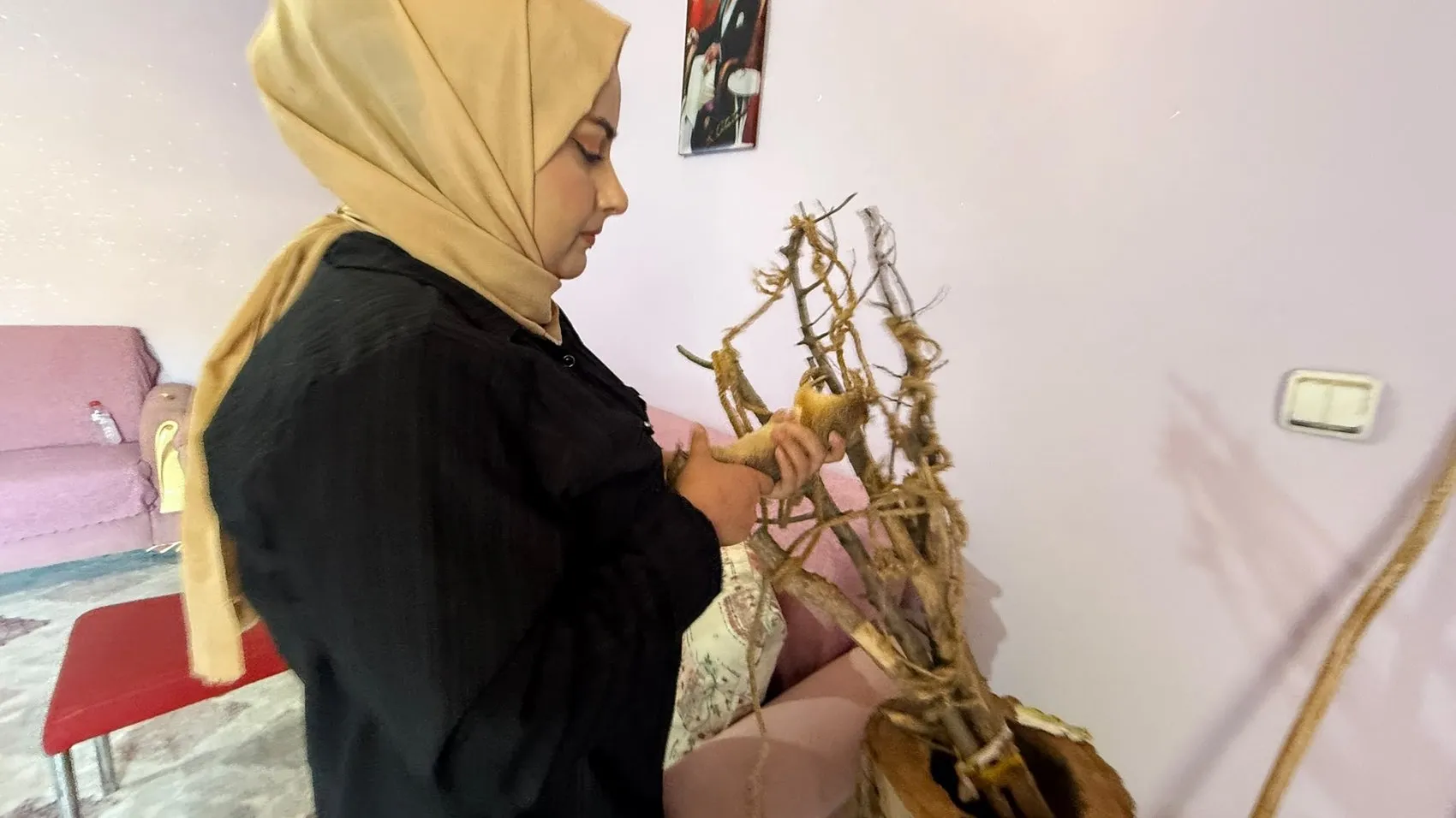 Hakkari'de bir kuaförün kurtardığı sincap evden ayrılmıyor